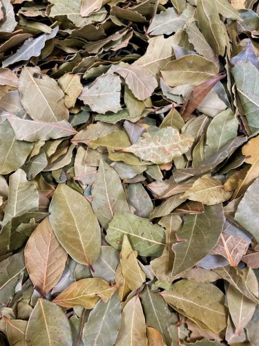 Paleolit Babérlevél egész 1kg Bay leaves whole (laurel)