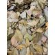 Paleolit Babérlevél egész 1kg Bay leaves whole (laurel)