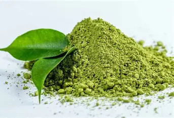 Paleolit Matcha zöldtea por 20kg lédig