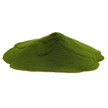 Paleolit Chlorella alga por 25kg lédig