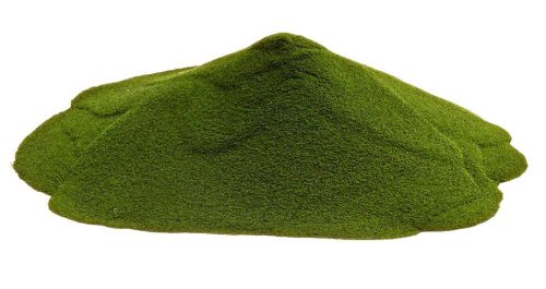 Paleolit Chlorella alga por 25kg lédig
