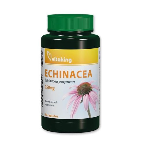 Vitaking Echinacea 250mg Bíbor kasvirág (90) kapszula