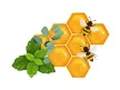 Natur Tanya® PROPOLSEPT mentás-eukaliptuszos szopogató tabletta 20db